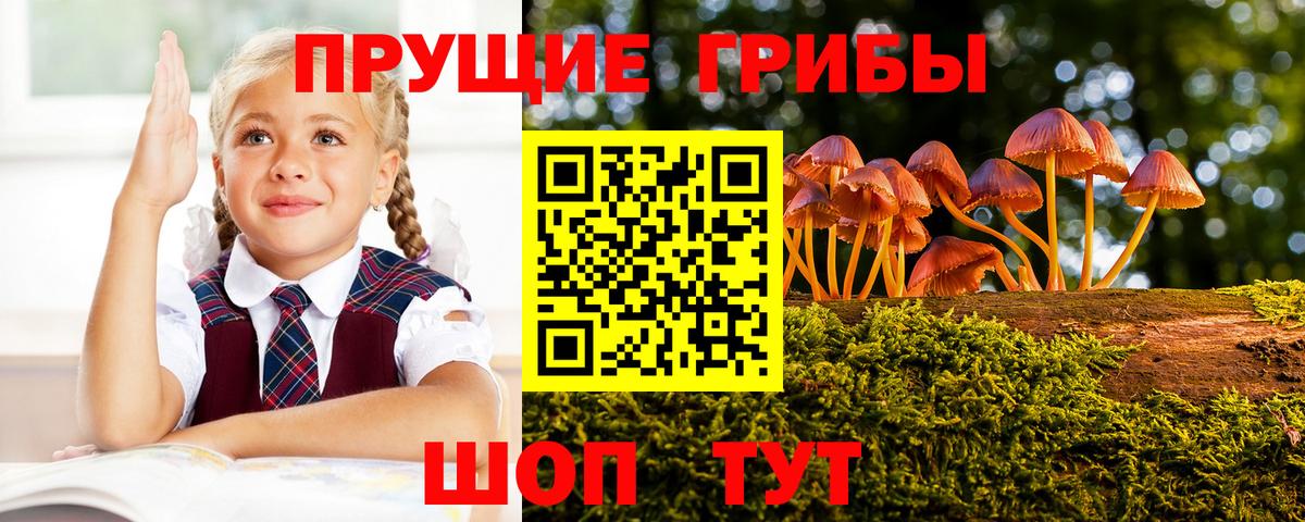 Псилоцибиновые грибы прущие грибы Нижнекамск
