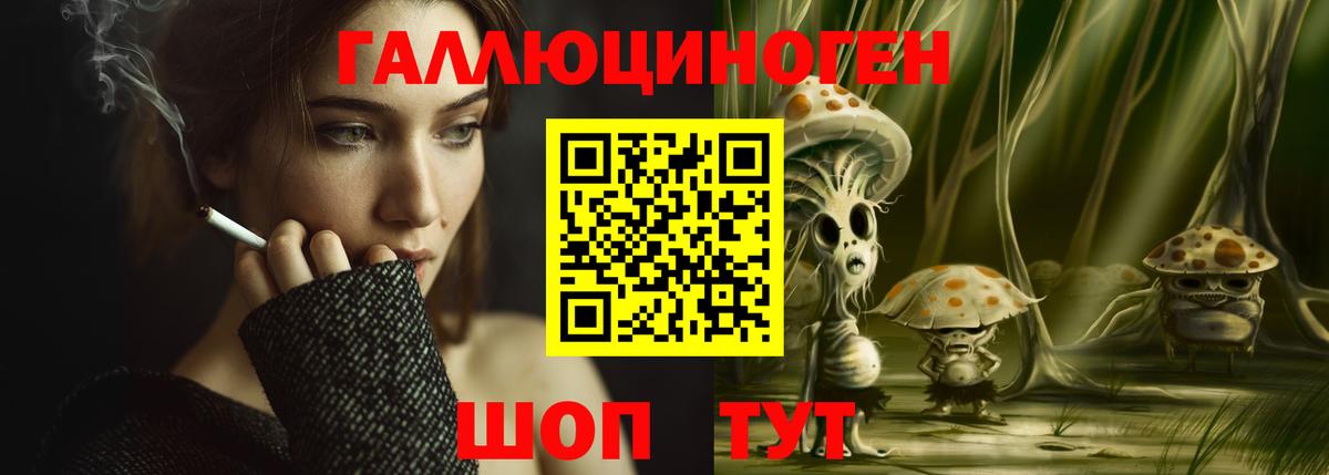 Галлюциногенные грибы Cubensis  Вход с VPN  Нижнекамск  Псилоцибиновые грибы Psilocybine cubensis 